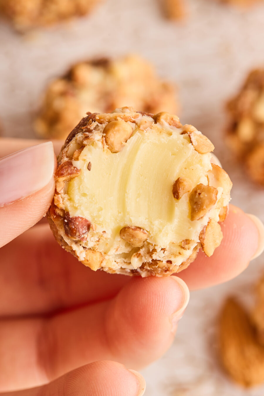 Trufa de Praline de Almendras y Chocolate Blanco - Imagen 4