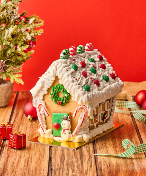 Kit Christmas House